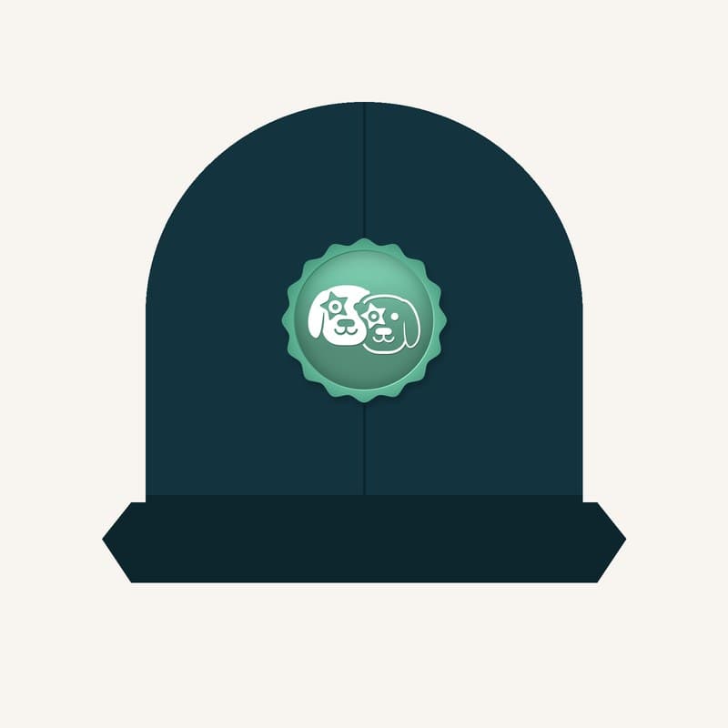 Gemini Dad Hat