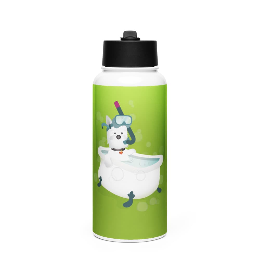 Virgo Stainless Steel Water Bottle with a Straw Lid