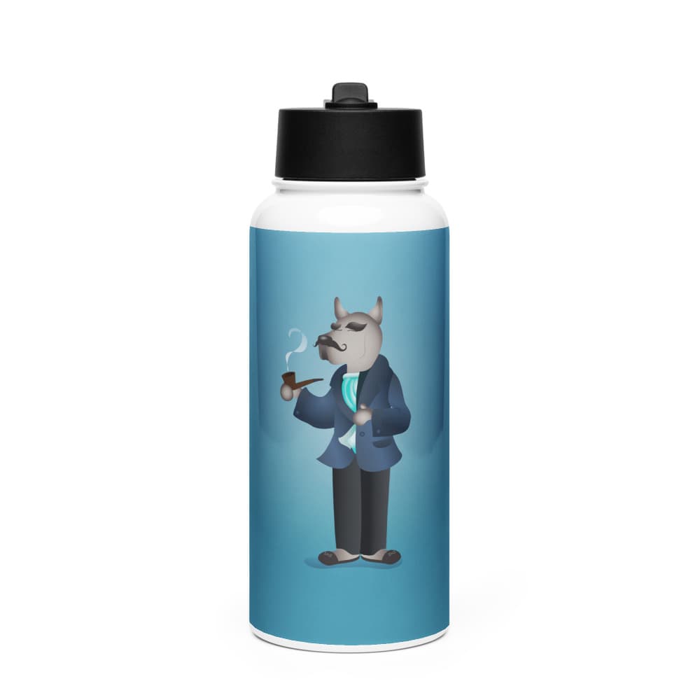 Aquarius Stainless Steel Water Bottle with a Straw Lid