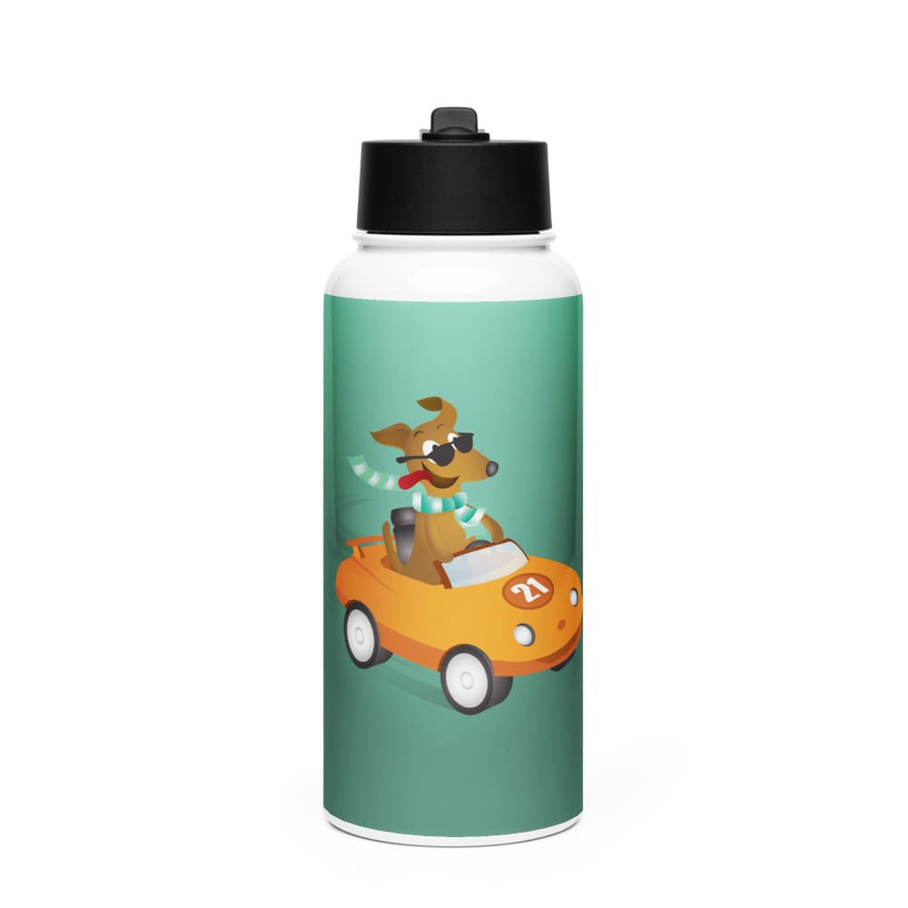 Gemini Stainless Steel Water Bottle with a Straw Lid