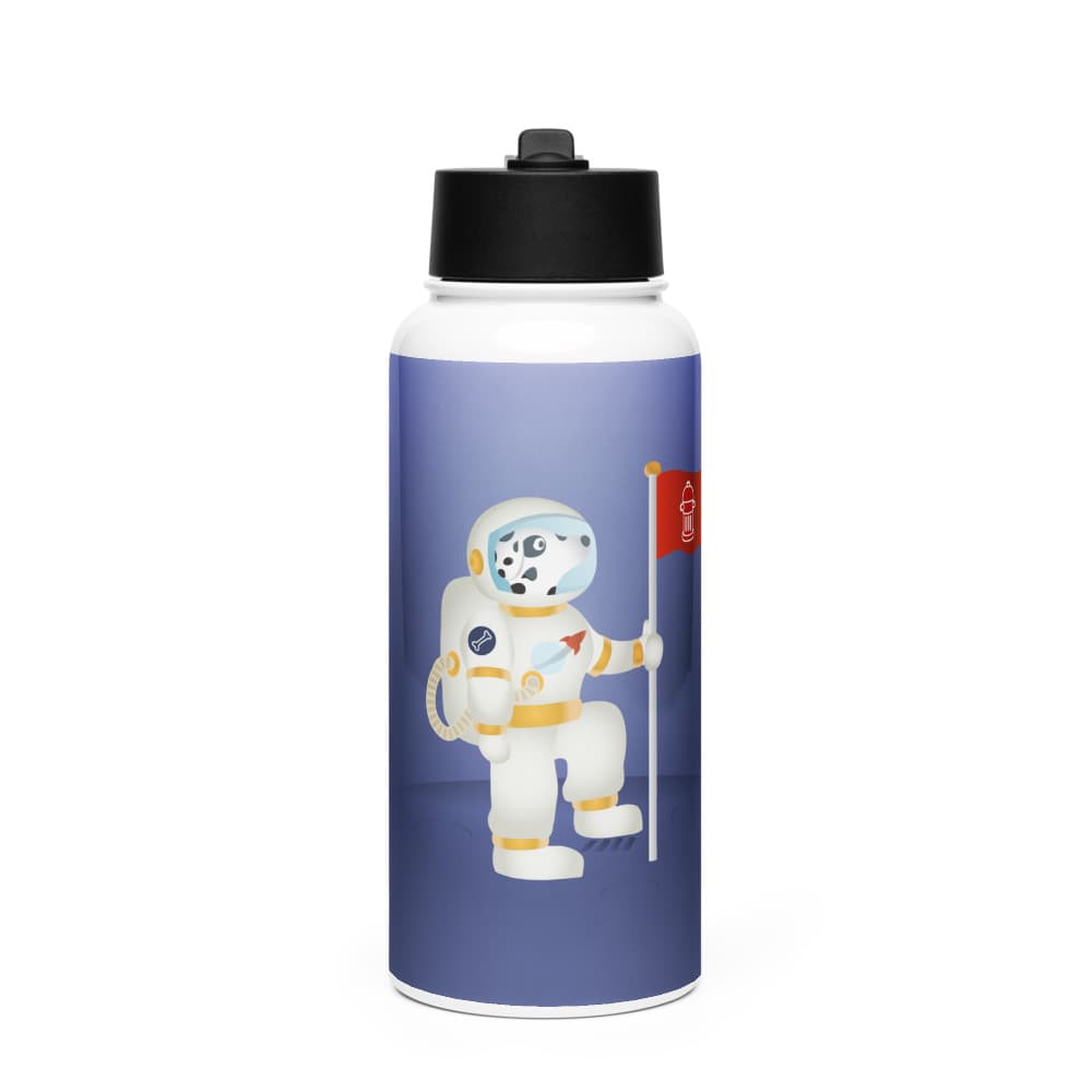 Pisces Stainless Steel Water Bottle with a Straw Lid