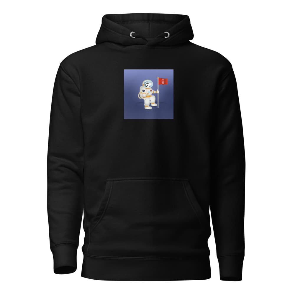 Pisces Unisex Pullover Hoodie